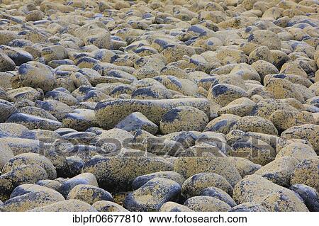 Stock Image - Stony beach in Northumberland, Great Britain. Fotosearch
