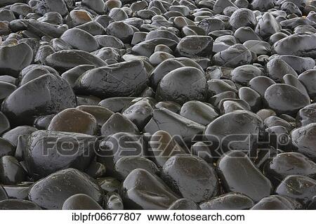 Stock Photo - Stony beach in Northumberland, Great Britain. Fotosearch