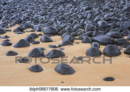 Stony beach in Northumberland, Great Britain View Large Photo Image Stock Photograph - Stony beach in Northumberland, Great Britain. Fotosearch