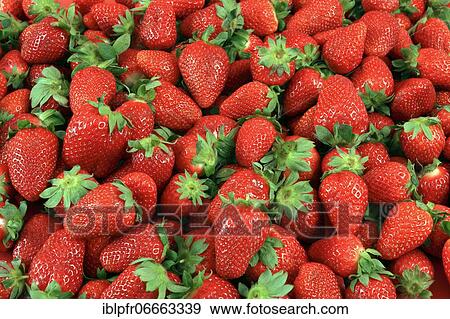 Stock Photo - Strawberries in the shape of a heart. Fotosearch