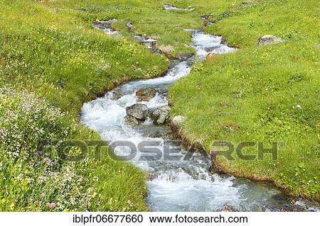 Stream in Büdner Alps, Grisons, Switzerland, Europe View Large Photo Image Stock Image - Stream in Büdner Alps, Grisons, Switzerland, Europe. Fotosearch
