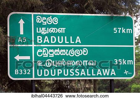 Street sign in Sinhalese and Tamil, Nuwara Eliya, Central Province, Sri Lanka, Asia View Large Photo Image Stock Photograph - Street sign in Sinhalese and Tamil, Nuwara Eliya, Central Province, Sri Lanka, Asia. Fotosearch