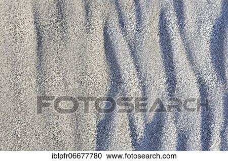 Structure in sand with frost, Germany, Europe View Large Photo Image Stock Image - Structure in sand with frost, Germany, Europe. Fotosearch