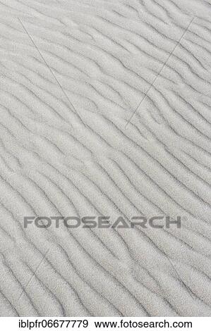 Structure in the sand, Germany, Europe View Large Photo Image Stock Photo - Structure in the sand, Germany, Europe. Fotosearch