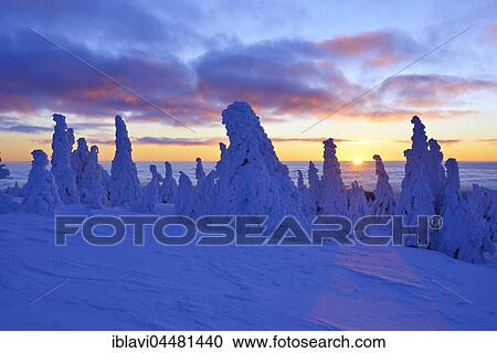 Sunrise on the Brocken, winter, snow-covered pines, above the clouds, Harz National Park, Saxony-Anhalt, Germany, Europe View Large Photo Image Stock Image - Sunrise on the Brocken, winter, snow-covered pines, above the clouds, Harz National Park, Saxony-Anhalt, Germany, Europe. Fotosearch