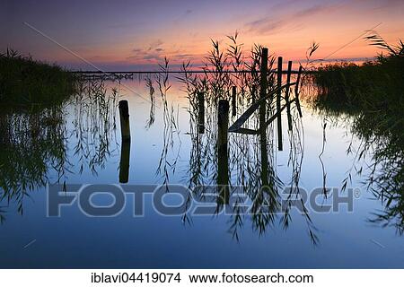 Sunset on backwaters, reeds and wooden poles, Zinnowitz, Usedom Island, Mecklenburg-Western Pomerania, Germany, Europe View Large Photo Image Picture - Sunset on backwaters, reeds and wooden poles, Zinnowitz, Usedom Island, Mecklenburg-Western Pomerania, Germany, Europe. Fotosearch