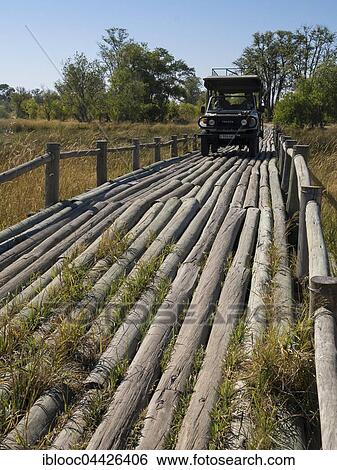 SUV driving over wooden bridge, Okavango Delta, Botswana, Africa View Large Photo Image Stock Photograph - SUV driving over wooden bridge, Okavango Delta, Botswana, Africa. Fotosearch