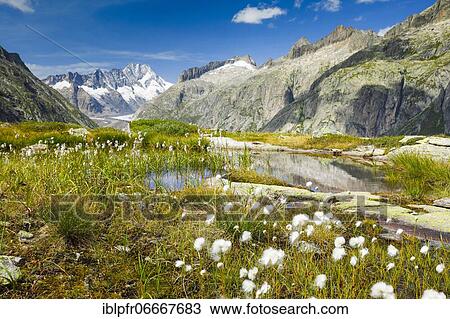 Stock Image - Swiss Alps in autumn, Grimselsee, Bern, Switzerland, Europe. Fotosearch