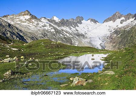 Swiss Alps (m) Summer, Oberaar glacier, Oberaarhorn, 3638 m, Finsteraarhorn, 4274m, Bernese Oberland, Bern, Switzerland, Europe View Large Photo Image Stock Image - Swiss Alps (m) Summer, Oberaar glacier, Oberaarhorn, 3638 m, Finsteraarhorn, 4274m, Bernese Oberland, Bern, Switzerland, Europe. Fotosearch