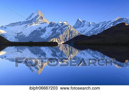 Swiss Alps, Schreckhorn, 4078 m, Finsteraarhorn, 4274m, Switzerland, Europe View Large Photo Image Stock Image - Swiss Alps, Schreckhorn, 4078 m, Finsteraarhorn, 4274m, Switzerland, Europe. Fotosearch