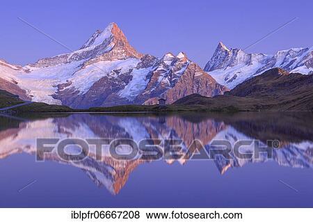 Swiss Alps, Schreckhorn, 4078 m, Finsteraarhorn, 4274m, Switzerland, Europe View Large Photo Image Stock Photo - Swiss Alps, Schreckhorn, 4078 m, Finsteraarhorn, 4274m, Switzerland, Europe. Fotosearch