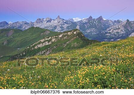 Swiss Alps with Chaiserstock, Fulen and Rossstock, Switzerland, Europe View Large Photo Image Stock Photograph - Swiss Alps with Chaiserstock, Fulen and Rossstock, Switzerland, Europe. Fotosearch