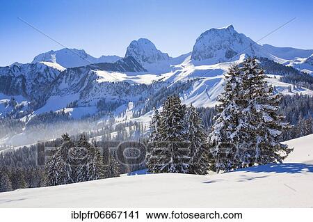 Swiss Pre-Alps, Chrumfadeflue, 2079 (m), Nünenen, 2101m, Gantrisch, 2175 m, Bürglen, 2165, Gurnigel, Switzerland, Europe View Large Photo Image Stock Image - Swiss Pre-Alps, Chrumfadeflue, 2079 (m), Nünenen, 2101m, Gantrisch, 2175 m, Bürglen, 2165, Gurnigel, Switzerland, Europe. Fotosearch