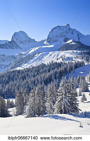 Swiss Prealps, Nünenen, 210 (m), Gantrisch, 2175 m, Gurnigel, Switzerland, Europe View Large Photo Image Stock Image - Swiss Prealps, Nünenen, 210 (m), Gantrisch, 2175 m, Gurnigel, Switzerland, Europe. Fotosearch