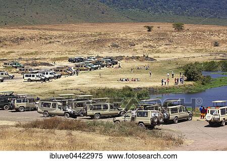 Tourists on safari, ATVs at rest area, Ngorongoro, Serengeti National Park, Tanzania, Africa View Large Photo Image Stock Photography - Tourists on safari, ATVs at rest area, Ngorongoro, Serengeti National Park, Tanzania, Africa. Fotosearch