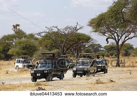 Stock Image - Tourists on safari, ATVs driving through bush, Ngorongoro, Serengeti National Park, Tanzania, Africa. Fotosearch
