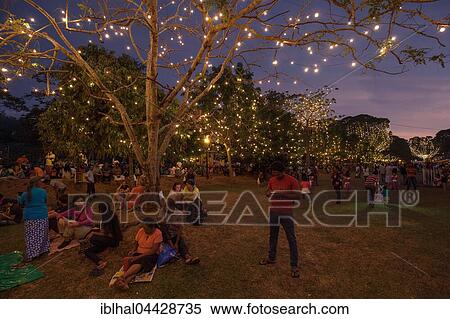 Trees decorated with fairy lights, Buddhist festival Esala Perahera, Temple of the Sacred Tooth Relic, Kandy, Central Province, Sri Lanka, Asia View Large Photo Image Stock Photography - Trees decorated with fairy lights, Buddhist festival Esala Perahera, Temple of the Sacred Tooth Relic, Kandy, Central Province, Sri Lanka, Asia. Fotosearch