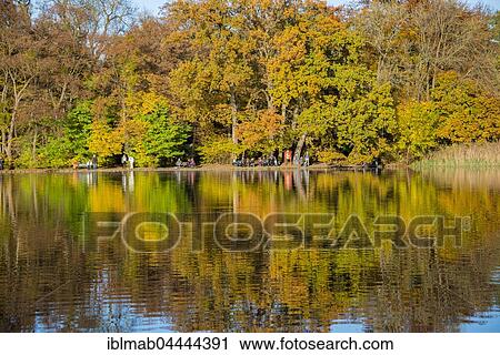 Stock Image - Trees with autumn leaves reflected in Lake Burger, Castle Garden, Nymphenburg Park, Munich, Bavaria, Upper Bavaria, Germany, Europe. Fotosearch