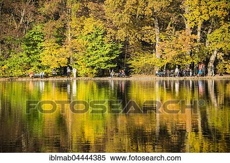 Stock Photography - Trees with autumn leaves reflected in Lake Burger, Castle Garden, Nymphenburg Park, Munich, Bavaria, Upper Bavaria, Germany, Europe. Fotosearch