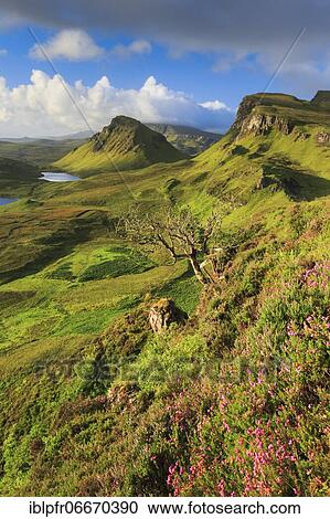 Trotternish, The Quaraig, Isle of Skye, Scotland, United Kingdom, Europe View Large Photo Image Stock Image - Trotternish, The Quaraig, Isle of Skye, Scotland, United Kingdom, Europe. Fotosearch