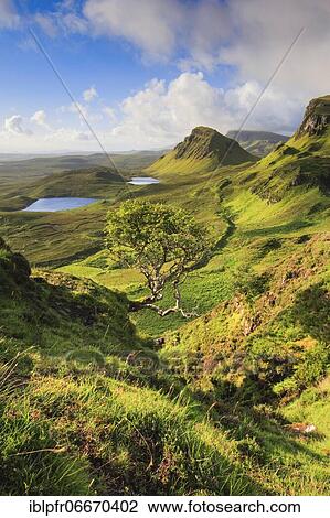 Trotternish, The Quaraig, Isle of Skye, Scotland, United Kingdom, Europe View Large Photo Image Stock Image - Trotternish, The Quaraig, Isle of Skye, Scotland, United Kingdom, Europe. Fotosearch