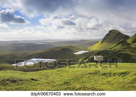 Stock Image - Trotternish, The Quaraig, Isle of Skye, Scotland, United Kingdom, Europe. Fotosearch