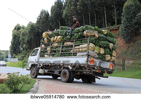 Stock Image - Truck overloaded with loaded banana plants, banana transport, Uganda, Africa. Fotosearch
