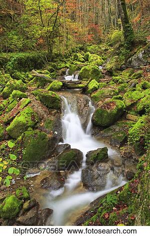 Stock Photo - Twannbach Gorge, Bern, Switzerland, Europe. Fotosearch