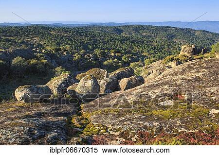 Typical landscape in Sierra de Andújar National Park, Spain, Europe View Large Photo Image Stock Photography - Typical landscape in Sierra de Andújar National Park, Spain, Europe. Fotosearch