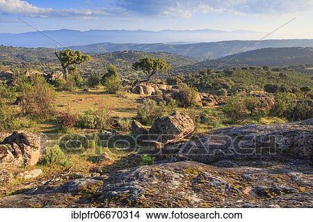 Typical landscape in the Sierra de Andújar National Park, Andalusia, Spain, Europe View Large Photo Image Picture - Typical landscape in the Sierra de Andújar National Park, Andalusia, Spain, Europe. Fotosearch