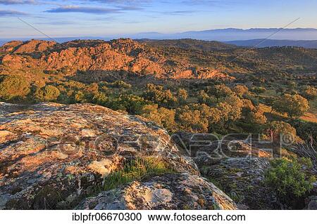 Typical landscape in the Sierra de Andújar National Park, Andalusia, Spain, Europe View Large Photo Image Stock Image - Typical landscape in the Sierra de Andújar National Park, Andalusia, Spain, Europe. Fotosearch