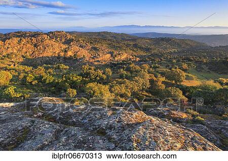 Typical landscape in the Sierra de Andújar National Park, Andalusia, Spain, Europe View Large Photo Image Stock Image - Typical landscape in the Sierra de Andújar National Park, Andalusia, Spain, Europe. Fotosearch