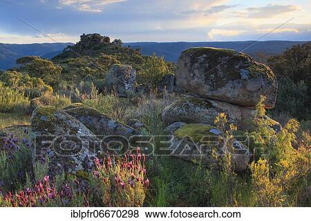 Typical landscape in the Sierra de Andújar National Park, Andalusia, Spain, Europe View Large Photo Image Stock Photo - Typical landscape in the Sierra de Andújar National Park, Andalusia, Spain, Europe. Fotosearch