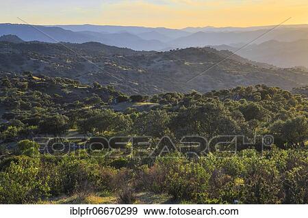 Typical landscape in the Sierra de Andújar National Park, Andalusia, Spain, Europe View Large Photo Image Stock Photo - Typical landscape in the Sierra de Andújar National Park, Andalusia, Spain, Europe. Fotosearch