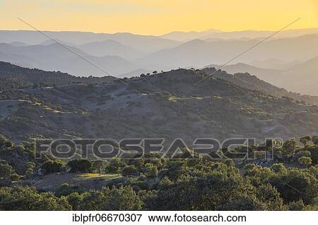 Typical landscape in the Sierra de Andújar National Park, Andalusia, Spain, Europe View Large Photo Image Stock Photo - Typical landscape in the Sierra de Andújar National Park, Andalusia, Spain, Europe. Fotosearch