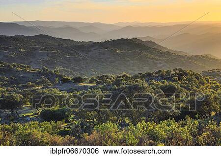 Typical landscape in the Sierra de Andújar National Park, Andalusia, Spain, Europe View Large Photo Image Stock Photograph - Typical landscape in the Sierra de Andújar National Park, Andalusia, Spain, Europe. Fotosearch