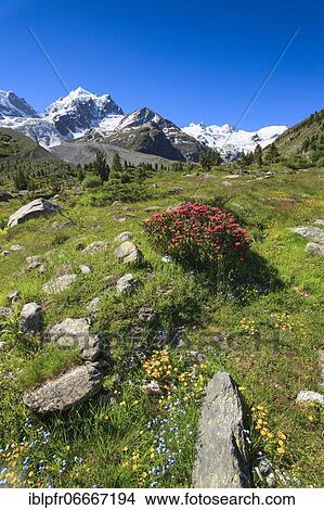 Val Roseg, Switzerland, Europe View Large Photo Image Picture - Val Roseg, Switzerland, Europe. Fotosearch