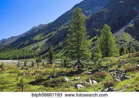 Stock Image - Val Roseg, Switzerland, Europe. Fotosearch