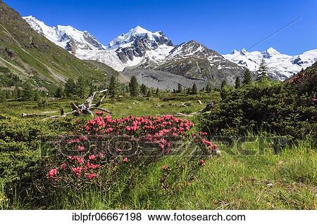 Val Roseg, Switzerland, Europe View Large Photo Image Stock Photo - Val Roseg, Switzerland, Europe. Fotosearch