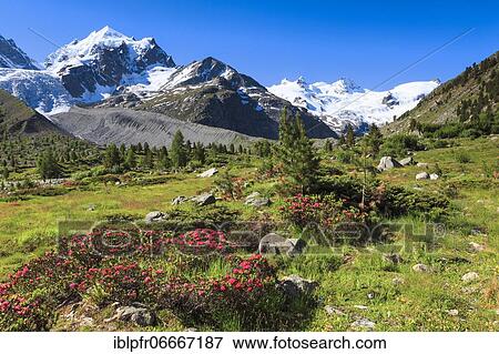 Stock Photo - Val Roseg with Piz Roseg, Switzerland, Europe. Fotosearch