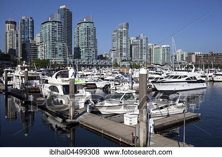 Stock Photo - Vancouver Coal Harbor, marina and skyline, Vancouver, British Columbia Province, Canada, North America. Fotosearch