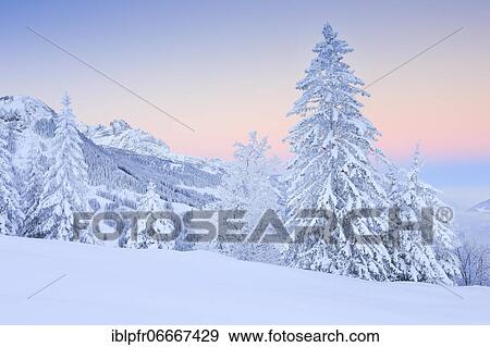 View Flumserberg, Switzerland, Europe View Large Photo Image Stock Photo - View Flumserberg, Switzerland, Europe. Fotosearch