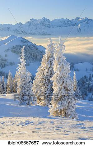 Stock Photo - View from the Rigi, Switzerland, Europe. Fotosearch