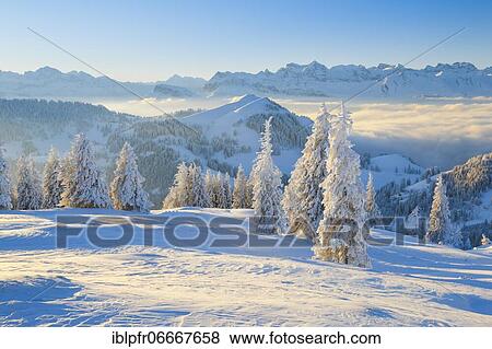 View from the Rigi, Switzerland, Europe View Large Photo Image Stock Photo - View from the Rigi, Switzerland, Europe. Fotosearch