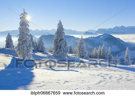 View from the Rigi, Switzerland, Europe View Large Photo Image Stock Photo - View from the Rigi, Switzerland, Europe. Fotosearch