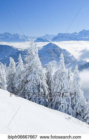 View from the Rigi, Switzerland, Europe View Large Photo Image Stock Photo - View from the Rigi, Switzerland, Europe. Fotosearch