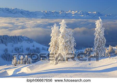 View from the Rigi, Switzerland, Europe View Large Photo Image Stock Photograph - View from the Rigi, Switzerland, Europe. Fotosearch