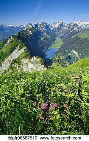View Hoher Kasten, Appenzell and St. Gallen, Switzerland, Europe View Large Photo Image Stock Image - View Hoher Kasten, Appenzell and St. Gallen, Switzerland, Europe. Fotosearch