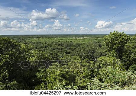 View of jungle from the top of Ek Balam, ancient Mayan ruin, Yucatan, Mexico, Central America View Large Photo Image Stock Photo - View of jungle from the top of Ek Balam, ancient Mayan ruin, Yucatan, Mexico, Central America. Fotosearch