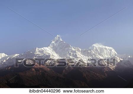 Stock Photograph - View of snow-covered Mt Machhapuchhare, view from Sarangkot, Annapurna region, Himalayas, Nepal, Asia. Fotosearch